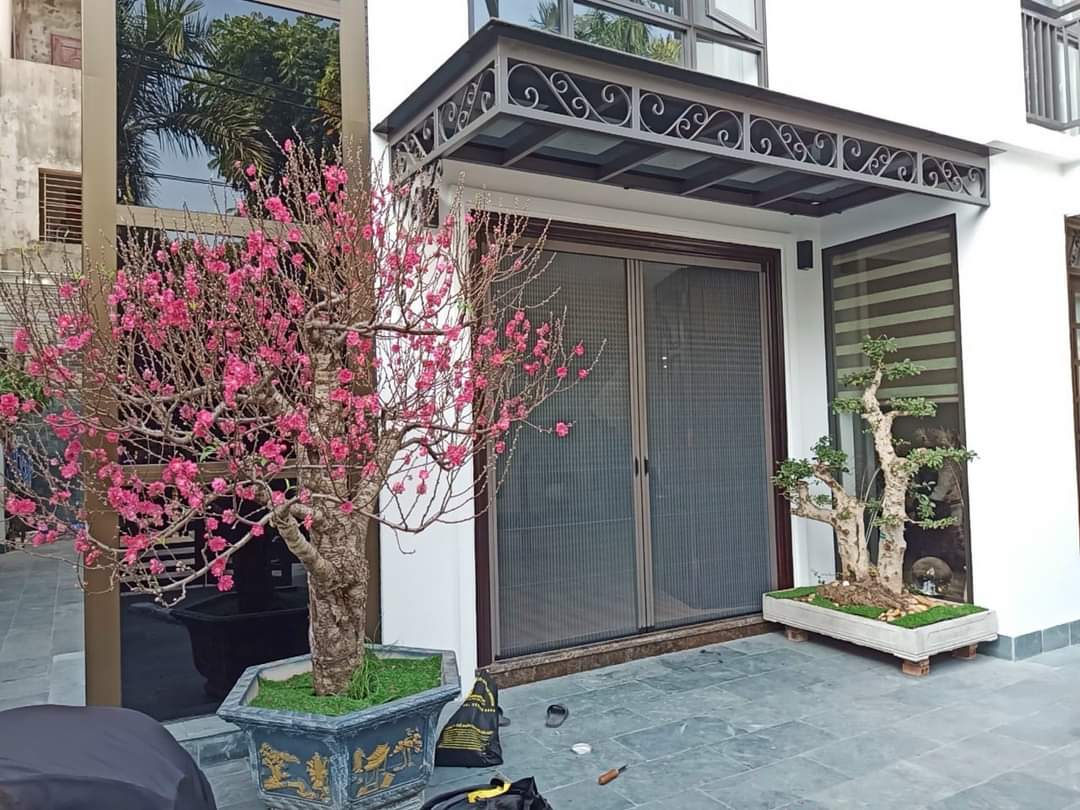Cửa chống muỗi xếp